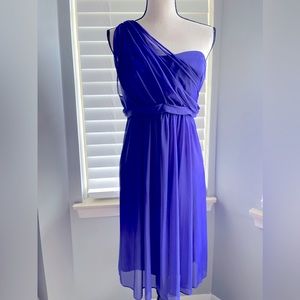 Beautiful David’s Bridal Sweetheart Style Mesh One-Shoulder Bridesmaids Dress